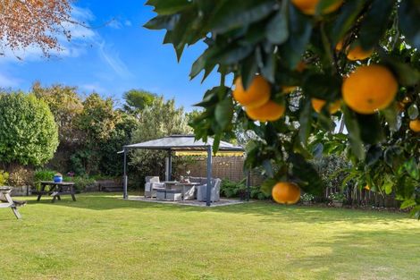 Photo of property in 70 Poike Road, Hairini, Tauranga, 3112