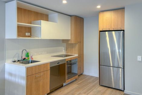 Photo of property in Vsp South, 203/168u Victoria Street, Te Aro, Wellington, 6011