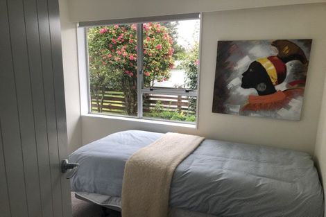 Photo of property in 66 Brunswick Street, Hutt Central, Lower Hutt, 5010