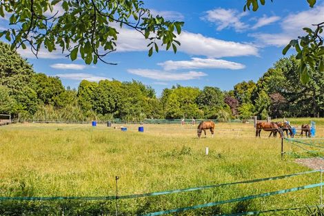 Photo of property in 102 Eders Road, Woodend, 7610