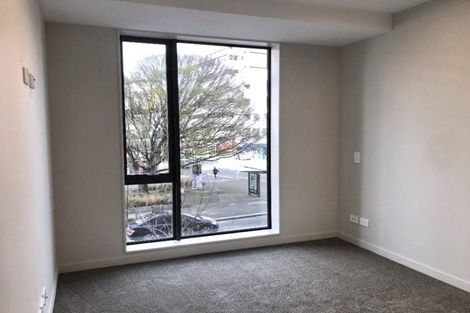 Photo of property in Vsp South, 105/168u Victoria Street, Te Aro, Wellington, 6011
