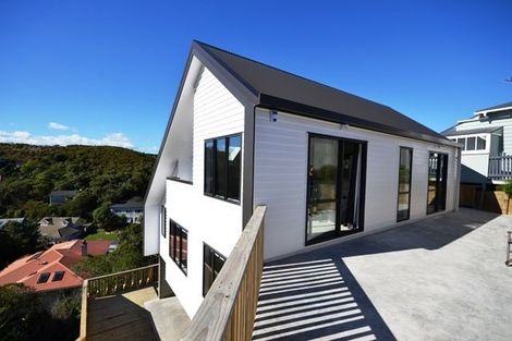 Photo of property in 39 Mccoll Street, Vogeltown, Wellington, 6021