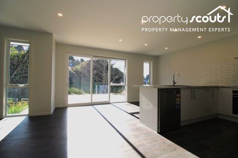 Photo of property in 42 Glenelg Street, Bradford, Dunedin, 9011