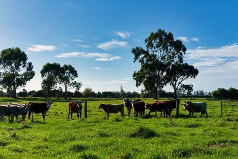 Photo of property in 386 Mount Fyffe Road, Kaikoura Flat, Kaikoura, 7371