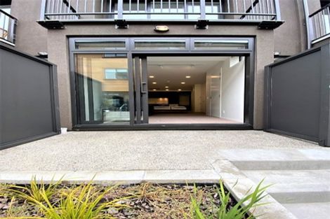 Photo of property in Aniva Terrace, 21 Arney Street, Newtown, Wellington, 6021
