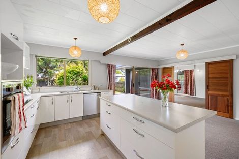 Photo of property in 19 Wesley Avenue, Frankleigh Park, New Plymouth, 4310