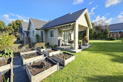 Photo of property in 51r Bradley Avenue, Pyes Pa, Tauranga, 3112