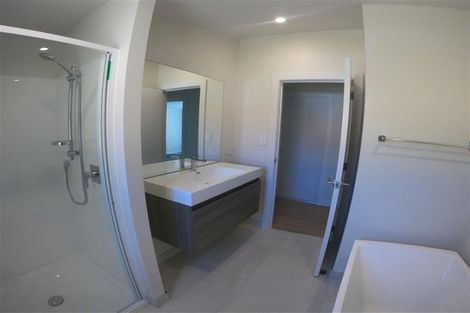 Photo of property in 161 Rimu Street, Maeroa, Hamilton, 3200