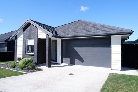 Photo of property in 10 Kokopu Lane, Ohauiti, Tauranga, 3112