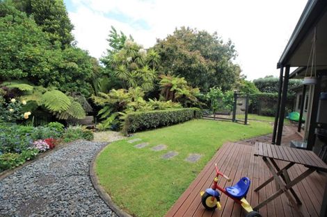 Photo of property in 63 Sunnyhills Avenue, Glenview, Hamilton, 3206