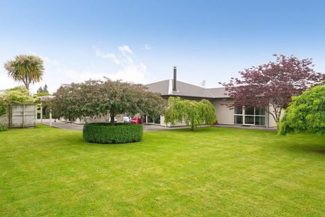 Photo of property in 60a Herbert Street, Masterton, 5810