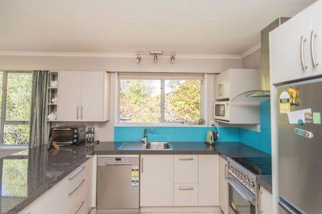 Photo of property in 25 Flatman Crescent, Geraldine, 7930