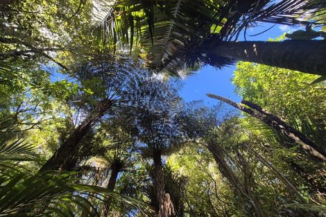 Photo of property in 1797 Colville Road, Amodeo Bay, Coromandel, 3584