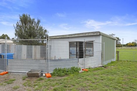 Photo of property in 176 Amberley Beach Road, Amberley, 7481