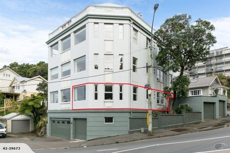 Photo of property in 2u1 Brooklyn Terrace, Brooklyn, Wellington, 6021