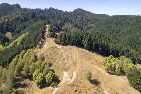 Photo of property in 196 Tinui Valley Road, Tinui Valley, Tinui, 5894