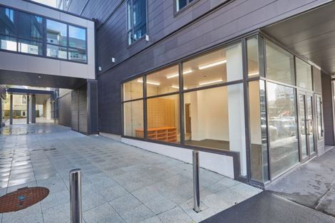 Photo of property in Vsp Nothern Tower, 166c1 Victoria Street, Te Aro, Wellington, 6011