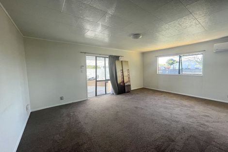 Photo of property in 133 Finlayson Avenue, Clendon Park, Auckland, 2103