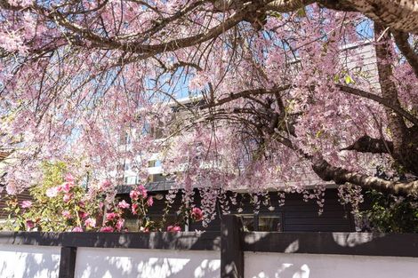 Photo of property in 3/2 Rehua Lane, St Albans, Christchurch, 8014