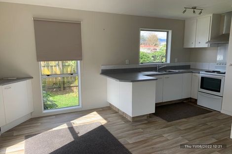 Photo of property in 15a Featherston Street, Levin, 5510