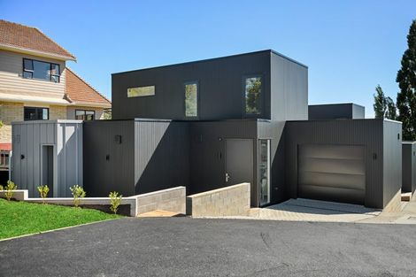 Photo of property in 16 Ridout Street, Maeroa, Hamilton, 3200