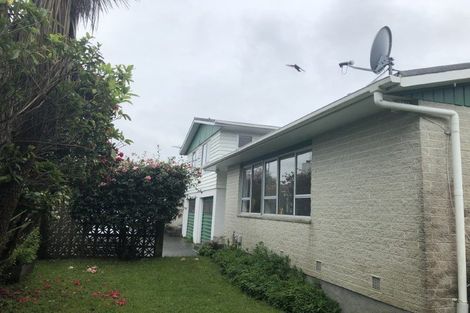 Photo of property in 66 Brunswick Street, Hutt Central, Lower Hutt, 5010