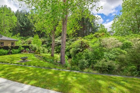 Photo of property in 24 Crabb Fields Lane, Riverhead, 0820