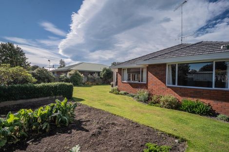 Photo of property in 79 Murray Street, Temuka, 7920
