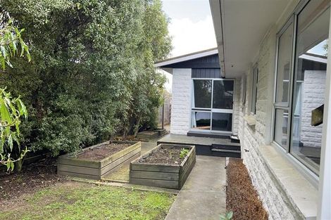 Photo of property in 38 Leefield Street, Blenheim, 7201