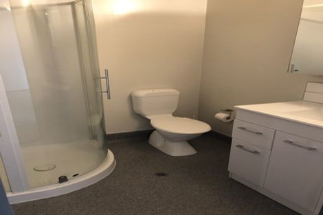 Photo of property in Dual Apartments, 301/142u Vivian Street, Te Aro, Wellington, 6011