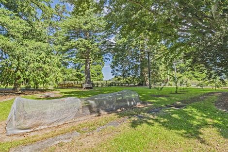 Photo of property in 428 Kowai Road, Springfield, 7681