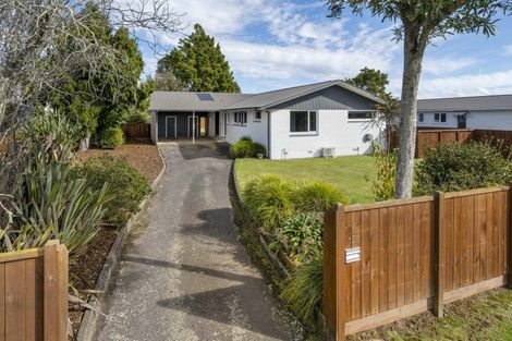 Photo of property in 135 Brecon Road, Stratford, 4332