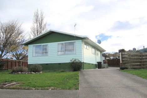 Photo of property in 124 Lethbridge Street, Feilding, 4702