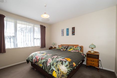 Photo of property in 155 Mcmurdo Street, Tinwald, Ashburton, 7700