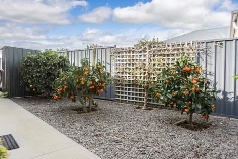 Photo of property in 17 Maple Place, Matamata, 3400