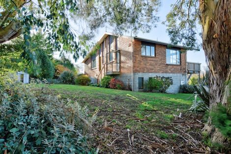 Photo of property in 173a Talbot Street, East Gore, Gore, 9771