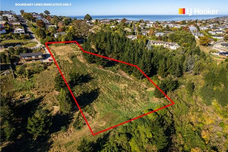 Photo of property in 12 Nursery Lane, Belleknowes, Dunedin, 9011