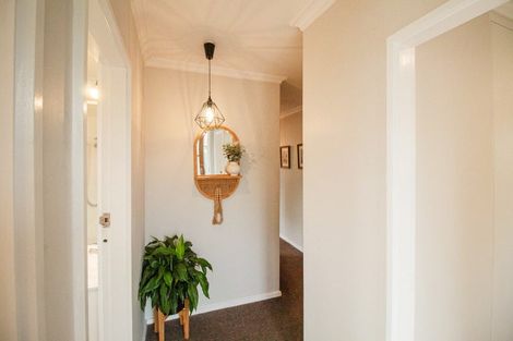 Photo of property in 101 Mulgrave Street, Ashhurst, 4810