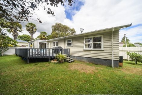 Photo of property in 39 Macarthur Street, Levin, 5510