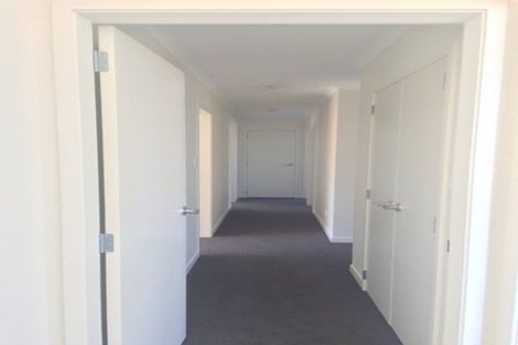 Photo of property in 8 Beggs Lane, Pyes Pa, Tauranga, 3112