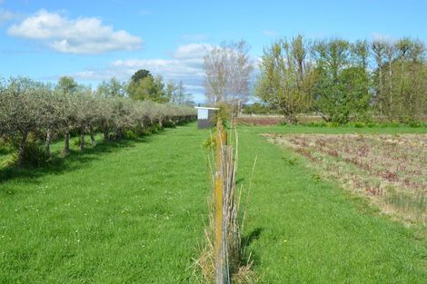 Photo of property in 83 Boundary Road, Upper Plain, Masterton, 5888