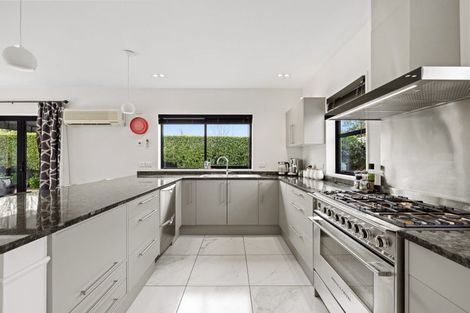 Photo of property in 51 Lewisham Park, St Albans, Christchurch, 8052