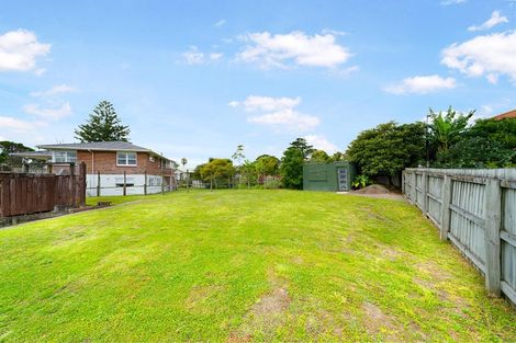Photo of property in 38 Kohekohe Street, New Lynn, Auckland, 0600