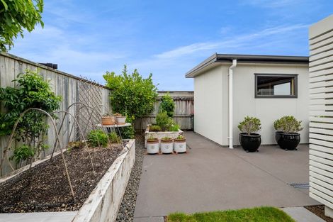 Photo of property in 425 Mangorei Road, Highlands Park, New Plymouth, 4312