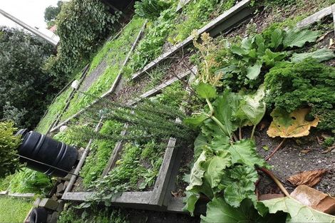 Photo of property in 41 Owen Road, Outer Kaiti, Gisborne, 4010