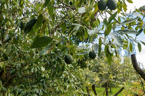 Photo of property in 10 Kenana Road, Te Puke, 3186