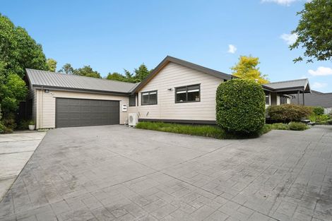 Photo of property in 62 Tuirangi Street, Flagstaff, Hamilton, 3210