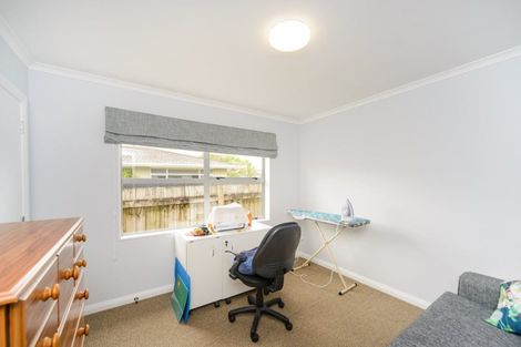 Photo of property in 19 Karina Terrace, Roslyn, Palmerston North, 4414