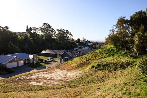 Photo of property in 21 Taruna Place, Havelock North, 4130