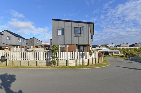 Photo of property in 4 Astelia Way, Woodridge, Wellington, 6037